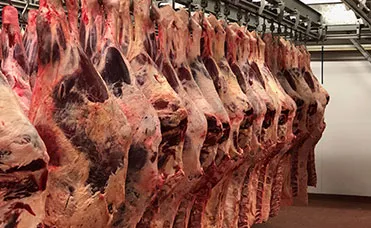 meat